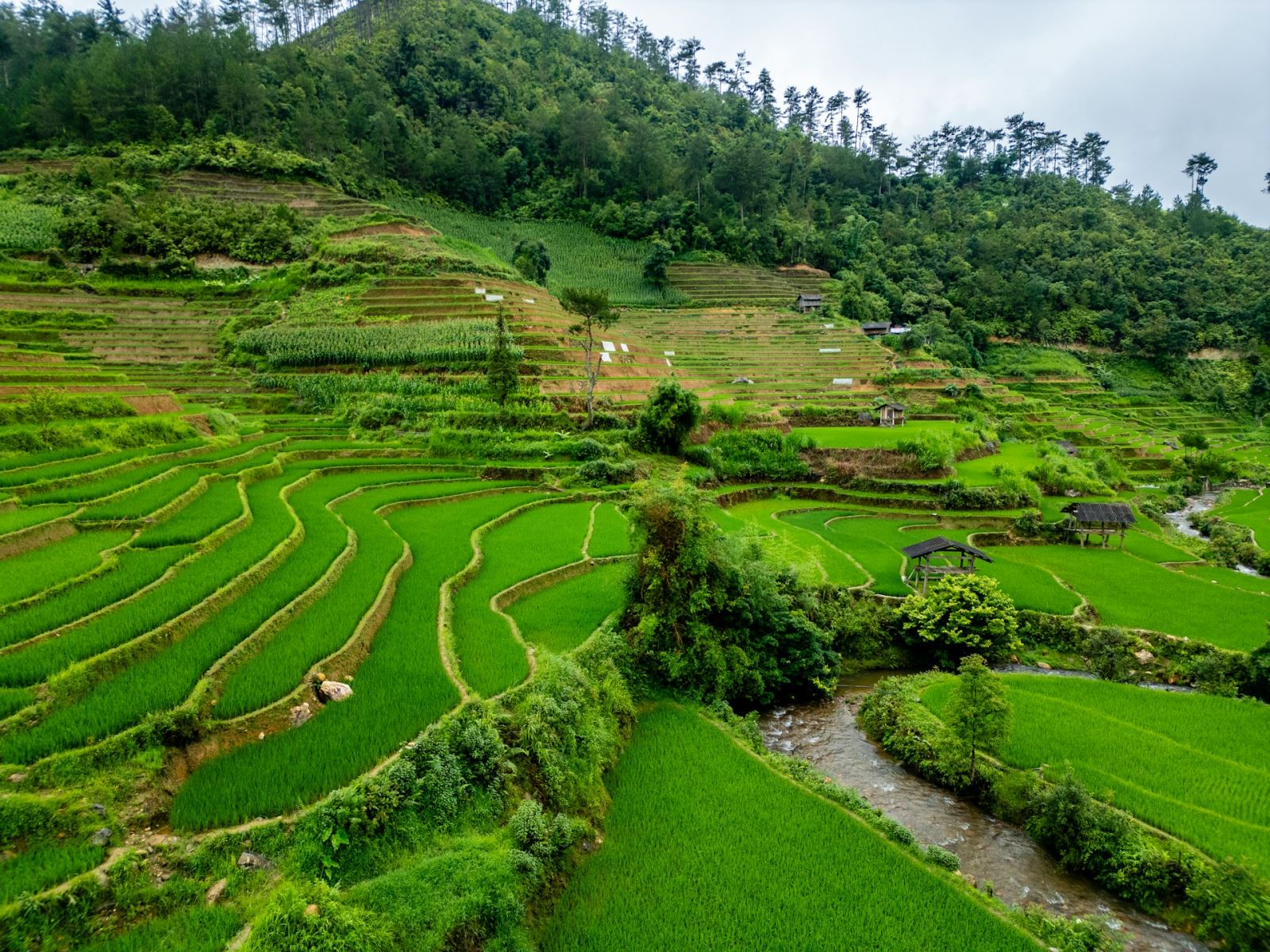 Mu Cang Chai, Vietnam in green season (Photo by Unsplash)