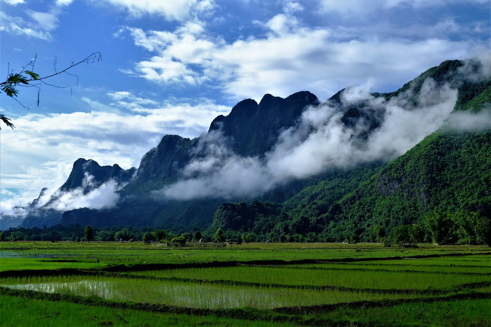 Green field view in Southern Laos in October (Photo by Quang Nguyen Vinh from Pexels)